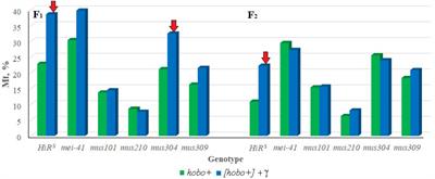 Involvement of DNA Repair Genes and System of Radiation-Induced Activation of Transposons in Formation of Transgenerational Effects